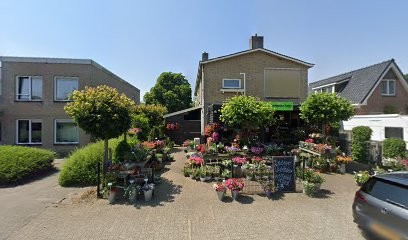 Visser / F A, Bloemist in Hurdegaryp