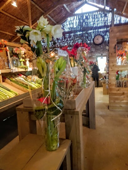 Amaryllisshop Het Vossehol, Bloemist in Driel