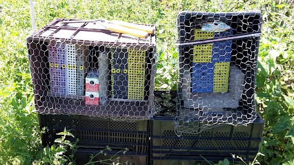 G.J. Hendriks Handelskwekerij B.V., Bloemist in Bemmel