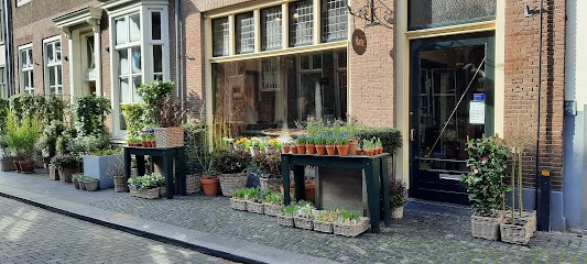 Horta, Bloemist in Zutphen