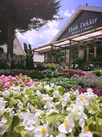 H. Dekker V.o.f., Bloemist in Oostzaan