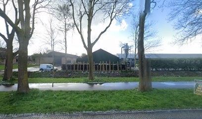 Stef Knijn Bloembollen, Bloemist in De Goorn