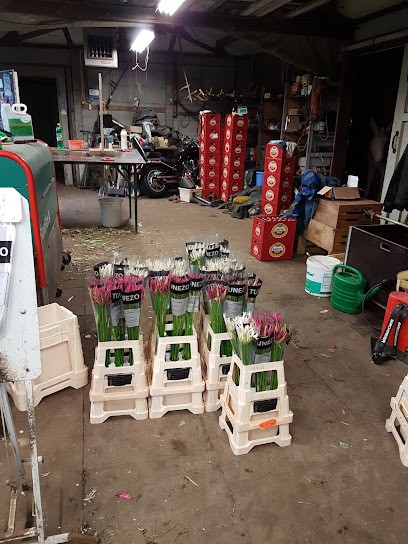 Kwekerij Tunezo, Bloemist in Heemskerk