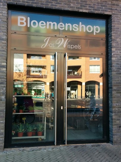 Jos Wispels, Bloemist in Nijverdal