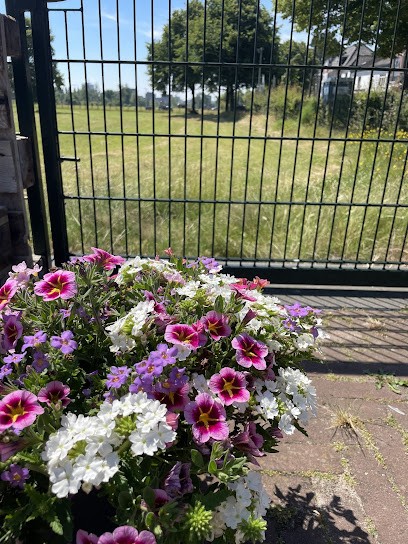 Molenaar Bloemen, Bloemist in Santpoort-Noord