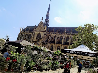 Visser Bloemen en Planten, Bloemist in Heerlen
