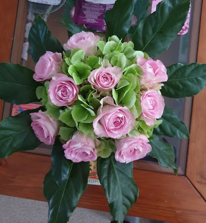 Klimop Bloemen en Planten, Bloemist in Schiedam