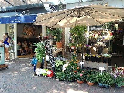 Wild Passion, Bloemist in Delft