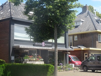 Blooms & Blossom, Bloemist in Udenhout