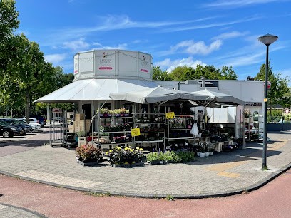 Kanbier's Dochter Bloemen & Planten, Bloemist in Leiden