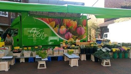 Bloemen En Planten Van De Ven, Bloemist in Nuth
