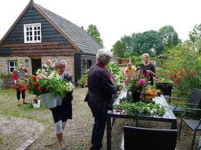 De Langendam Droogbloemen Winkel, Pluktuin En Vakantiehuis, Bloemist in Waspik
