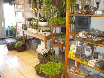 Bloembinderij Acanthus, Bloemist in Leeuwarden