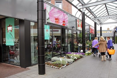 Bloemsierkunst Wilhelmientje V.O.F., Bloemist in Cuijk