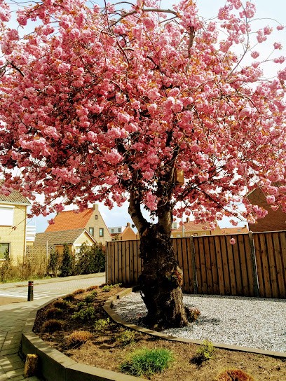 't Karrewiel Bloemen, Bloemist in Urk