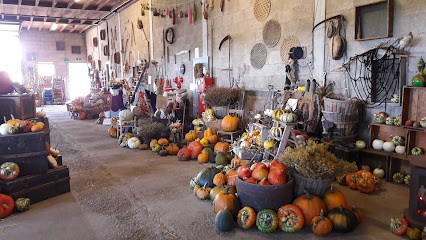 Visser bloembollen, Bloemist in Oostwoud
