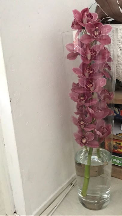 Firma Gebroeders Sassen, Bloemist in Almere