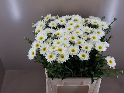 Gebroeders Van Ruiten, Bloemist in Lisse