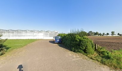 Kwekerij Piet Disveld-Reuser V.O.F., Bloemist in Melderslo